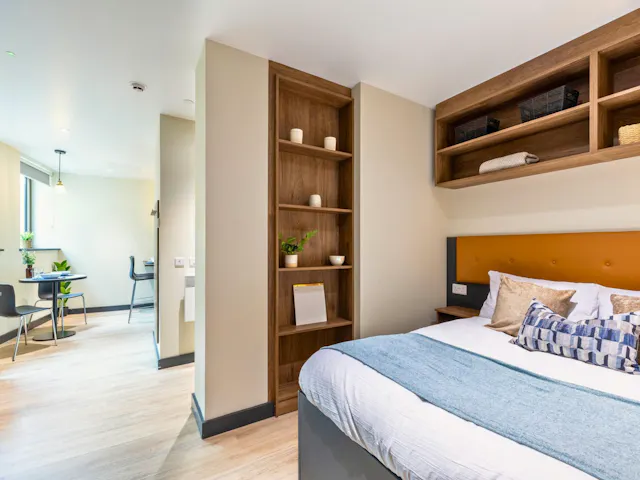Superior Studio room image 2