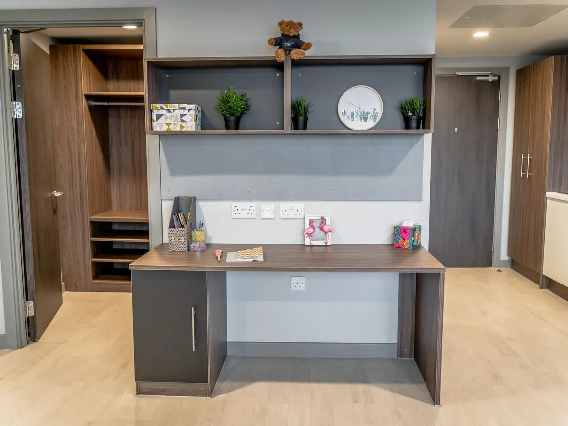 Penthouse Studio