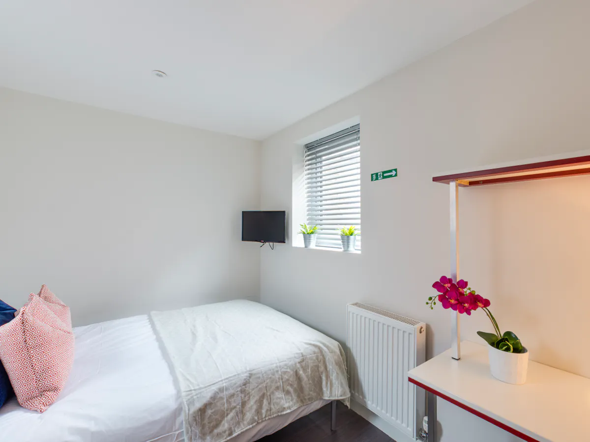 4 Bed Apartment ROOM