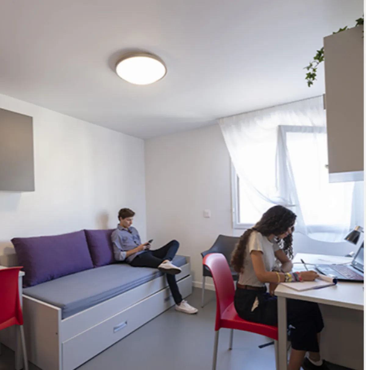 Studio ROOM