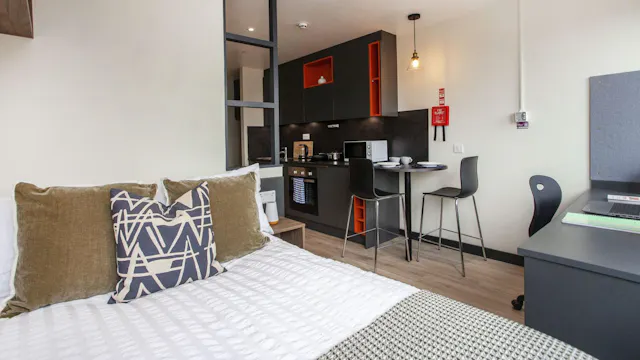 Premium Plus Studio room image 1