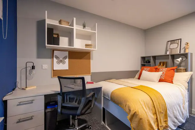 Premium Studio room image 1