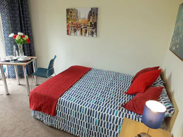 Premium Studio room image 2