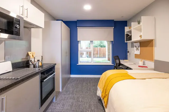 Premium Studio room image 2