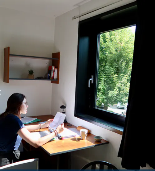 ROOM ROOM 3