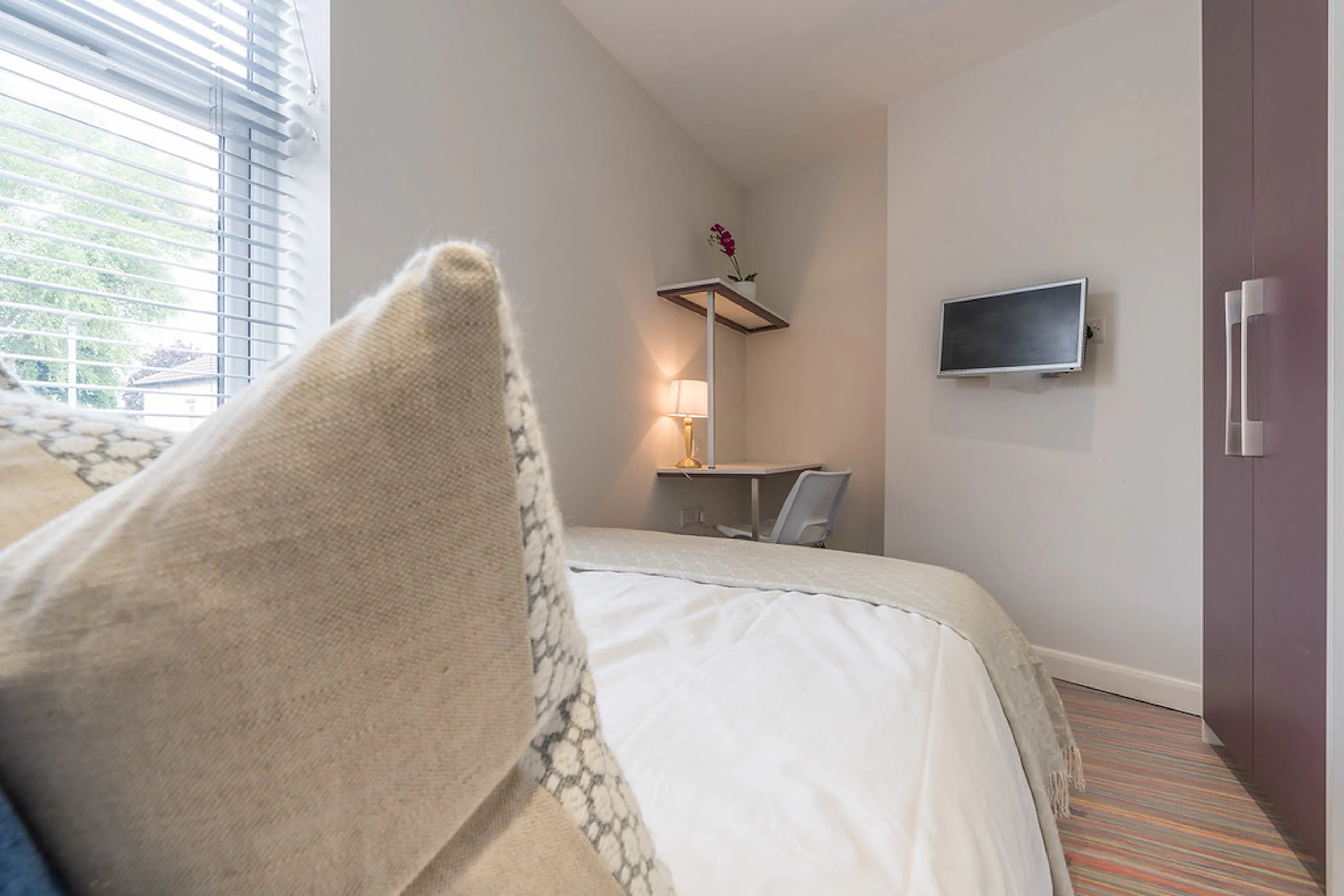6 Bedroom Apartment ROOM 2