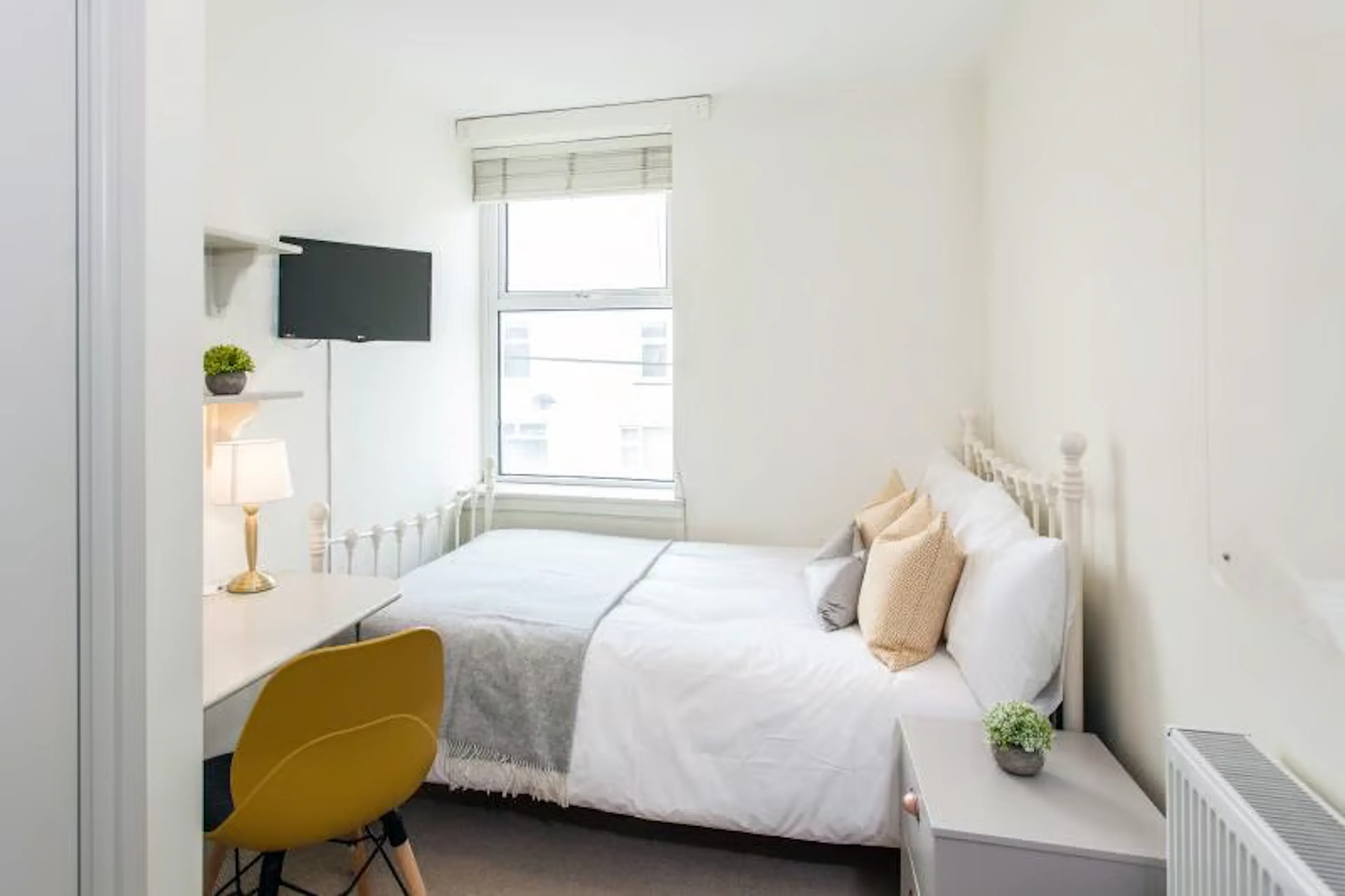 6 Bedroom Apartment ROOM 3