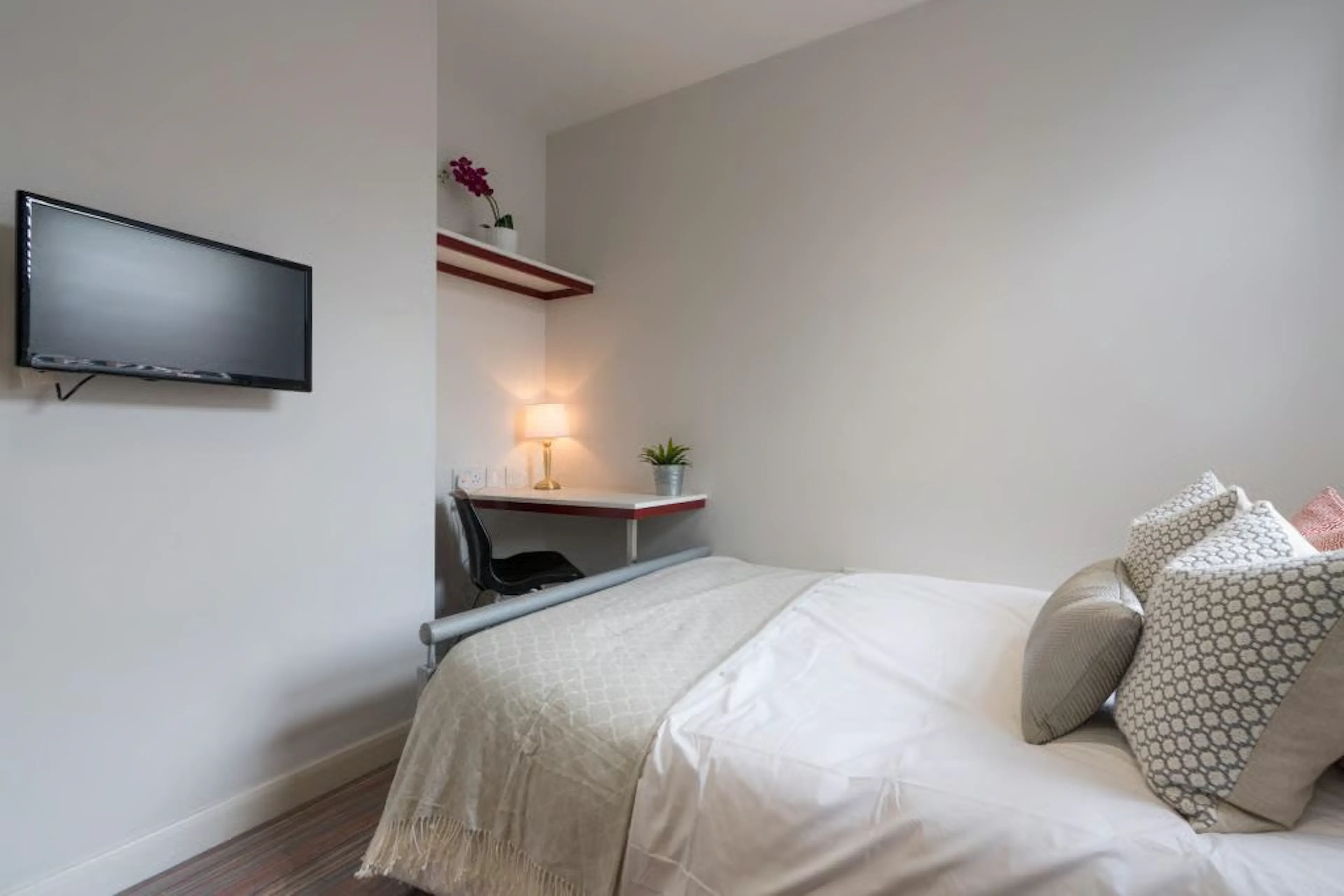 5 Bedroom Apartment ROOM 3