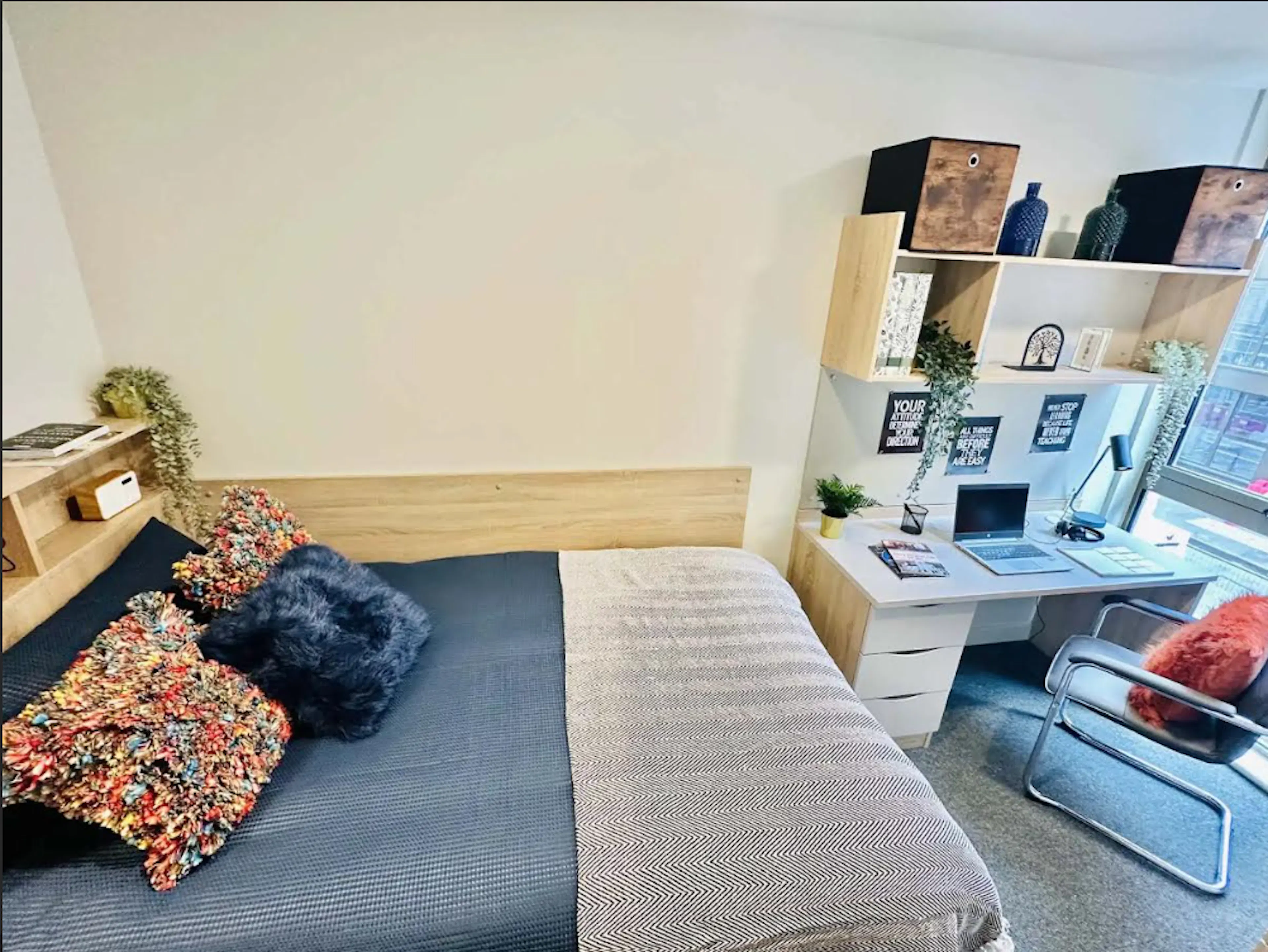 ROOM ROOM 1