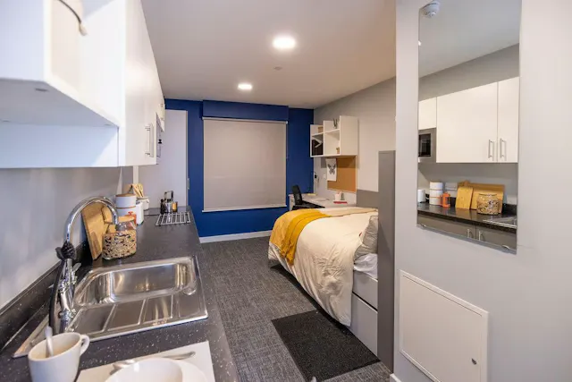 Premium Studio room image 7