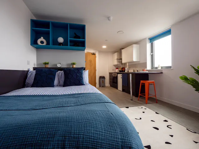 Extra Large Studio room image 1