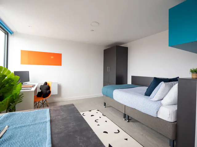 Large Studio room image 3