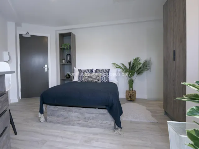 Gold Room room image 1