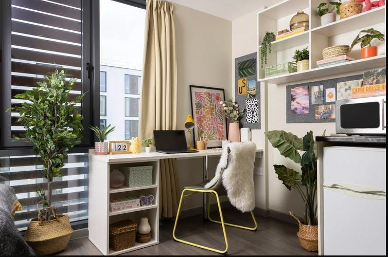 Classic Accessible Studio