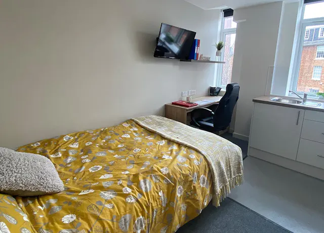 Standard Studio room image 2