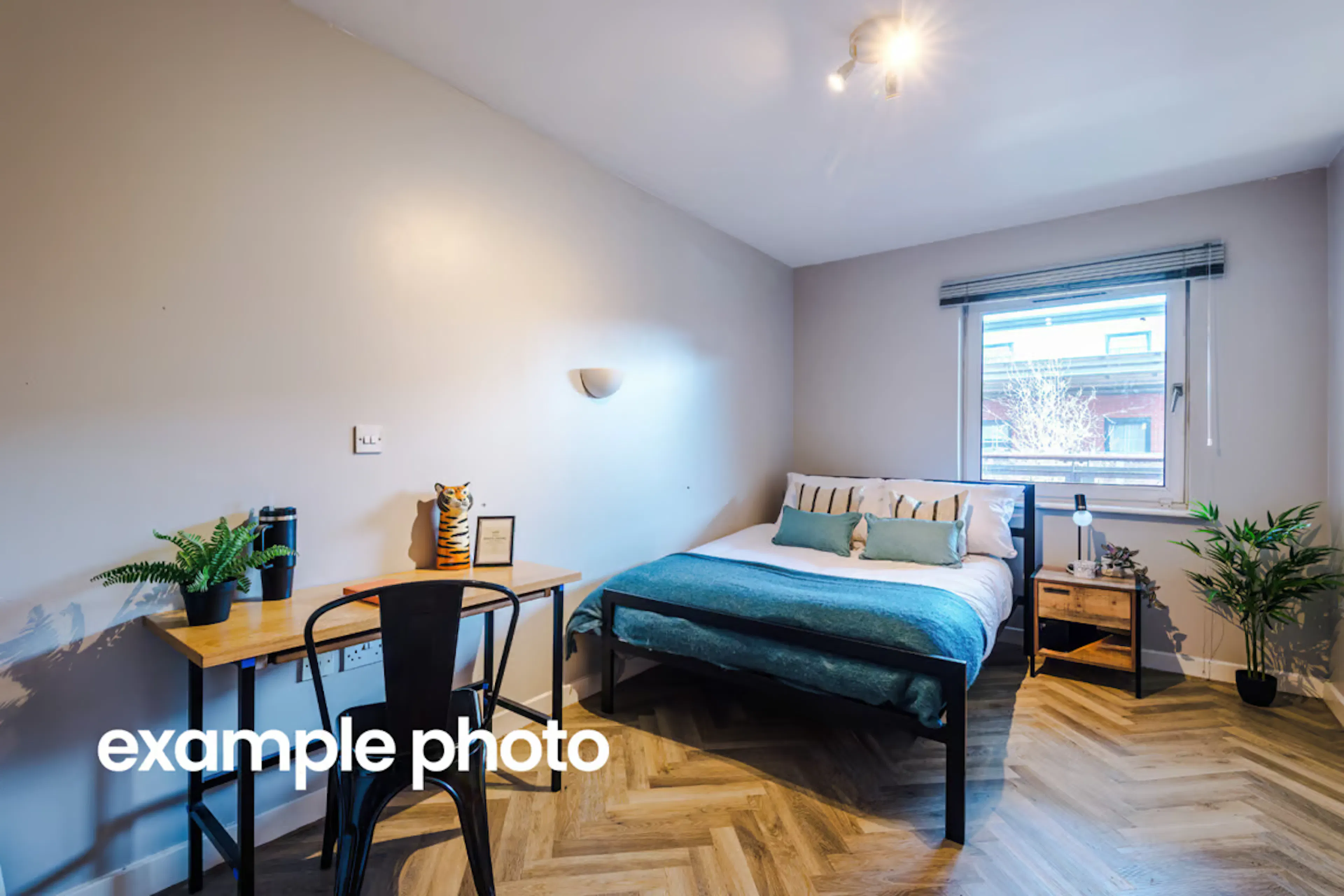 2 Bedroom Apartment ROOM 1