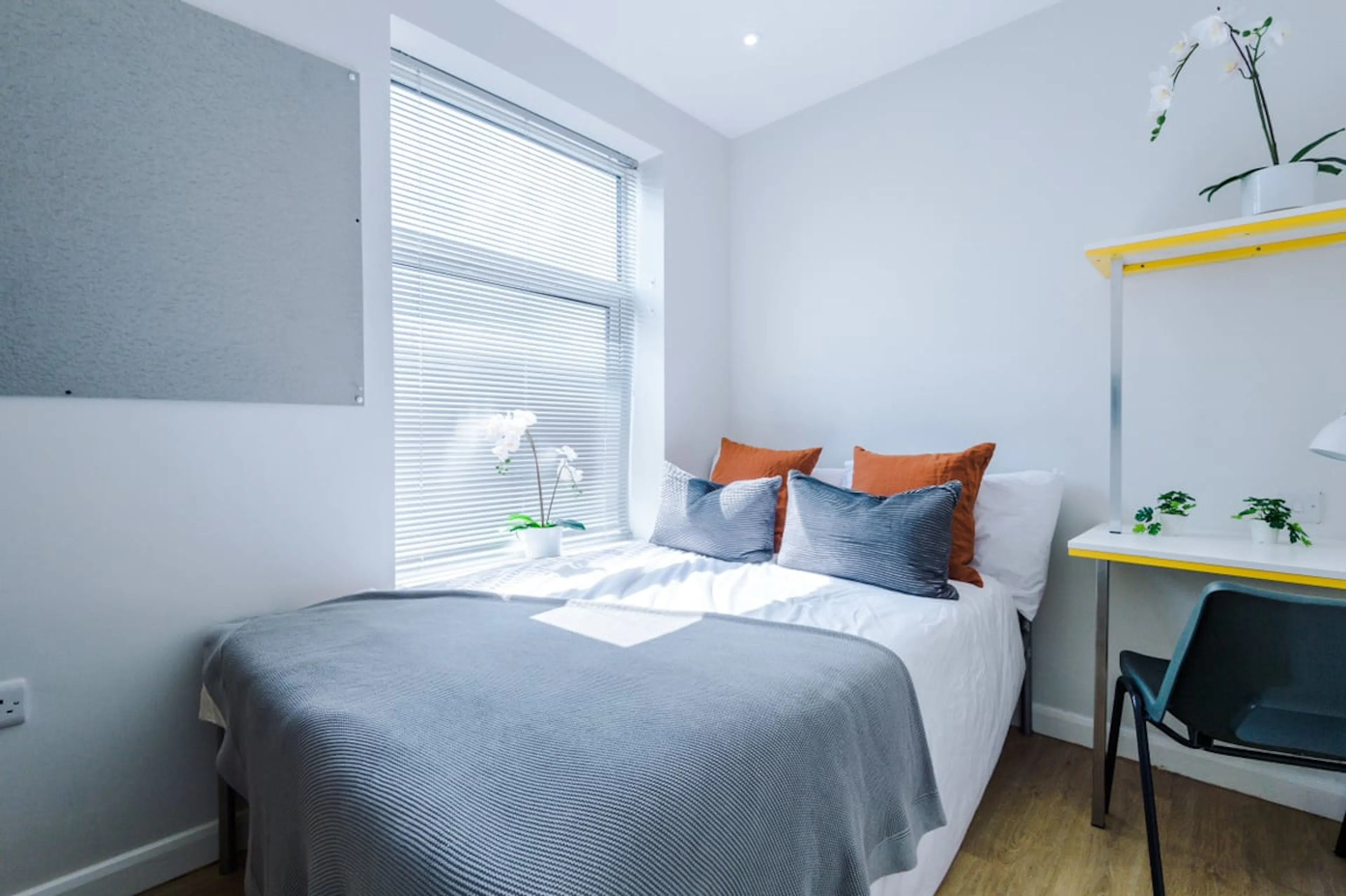 4 Bed Apartment ROOM 1