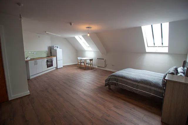 Premier Studio Plus room image 2