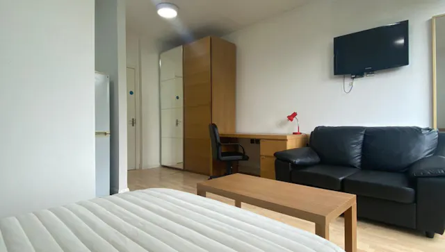 Large Premier room image 2