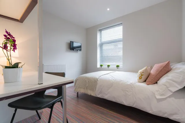 4 Bed Apartment room image 2