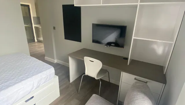 Premier Studio room image 2