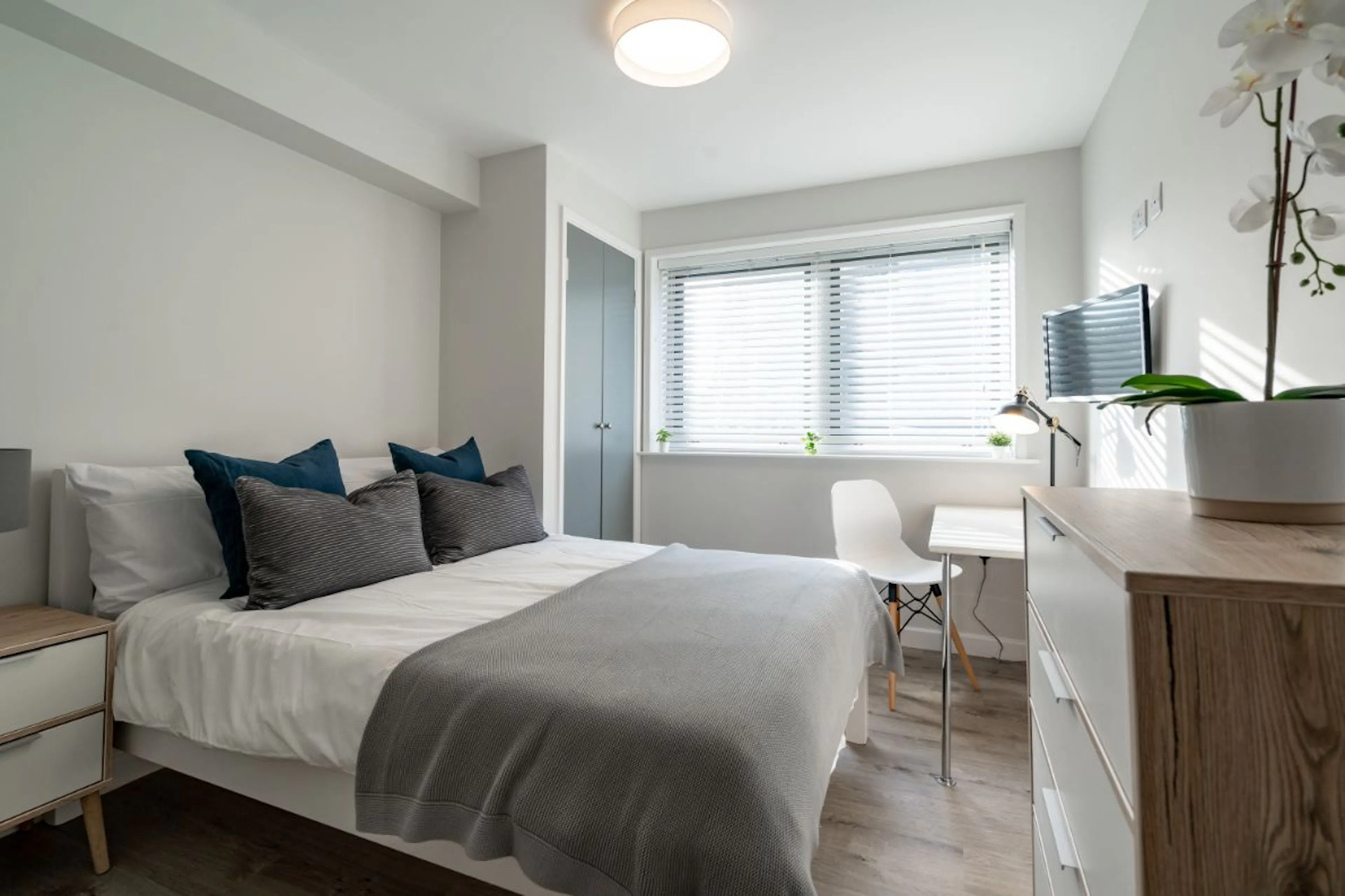 Six Bed Apartment ROOM 1