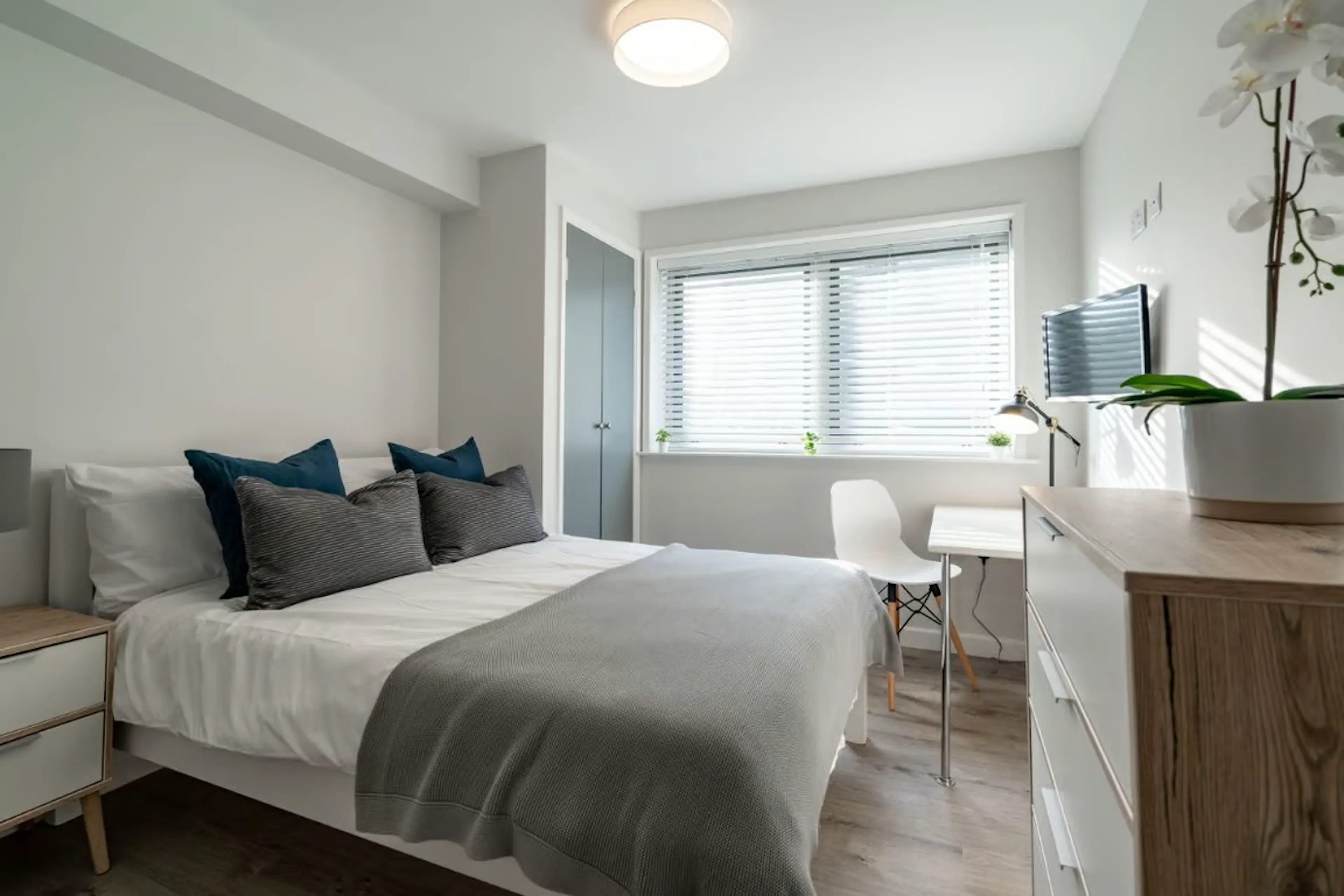 ROOM ROOM 1