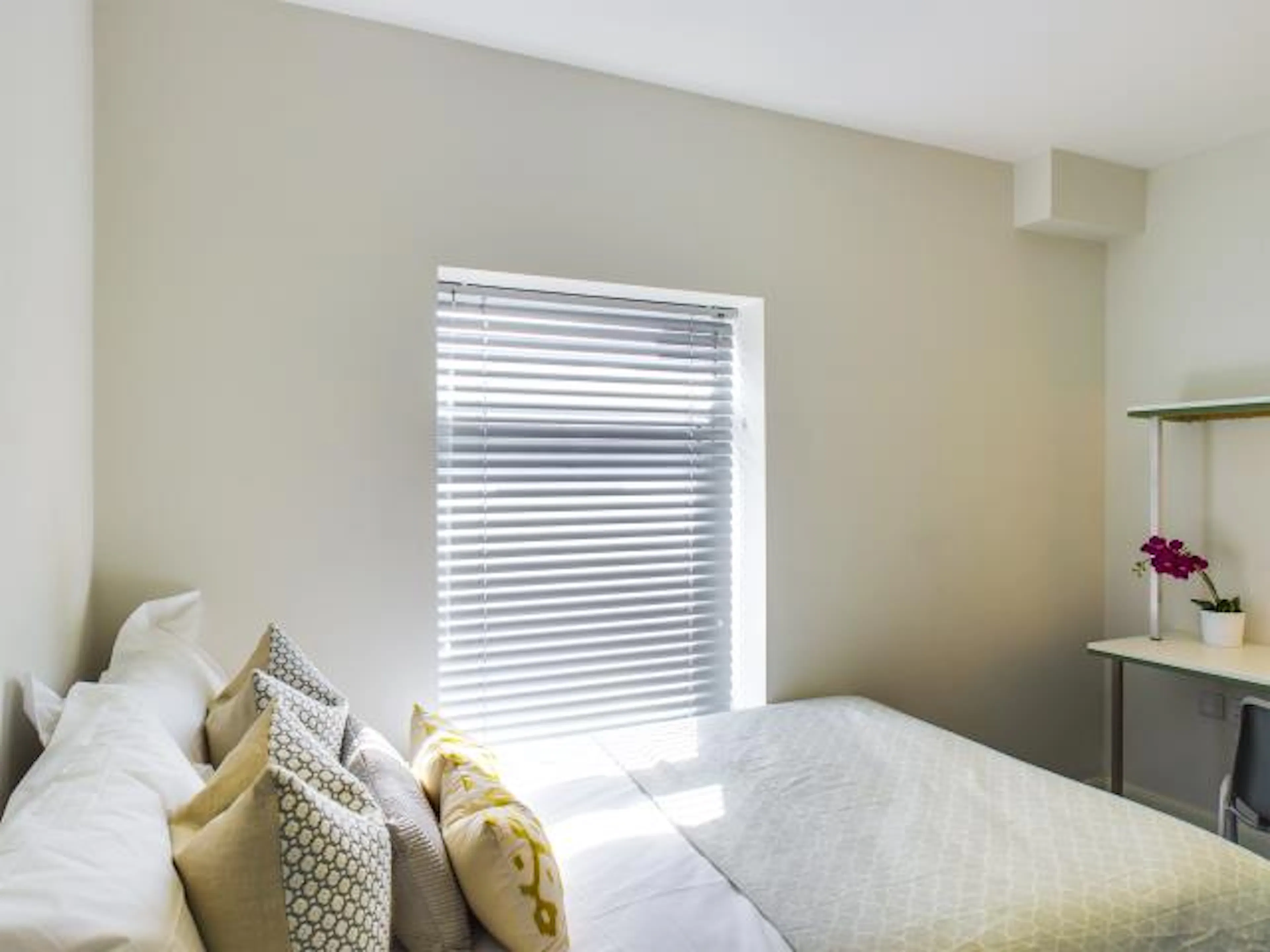 4 Bed Apartment ROOM 1