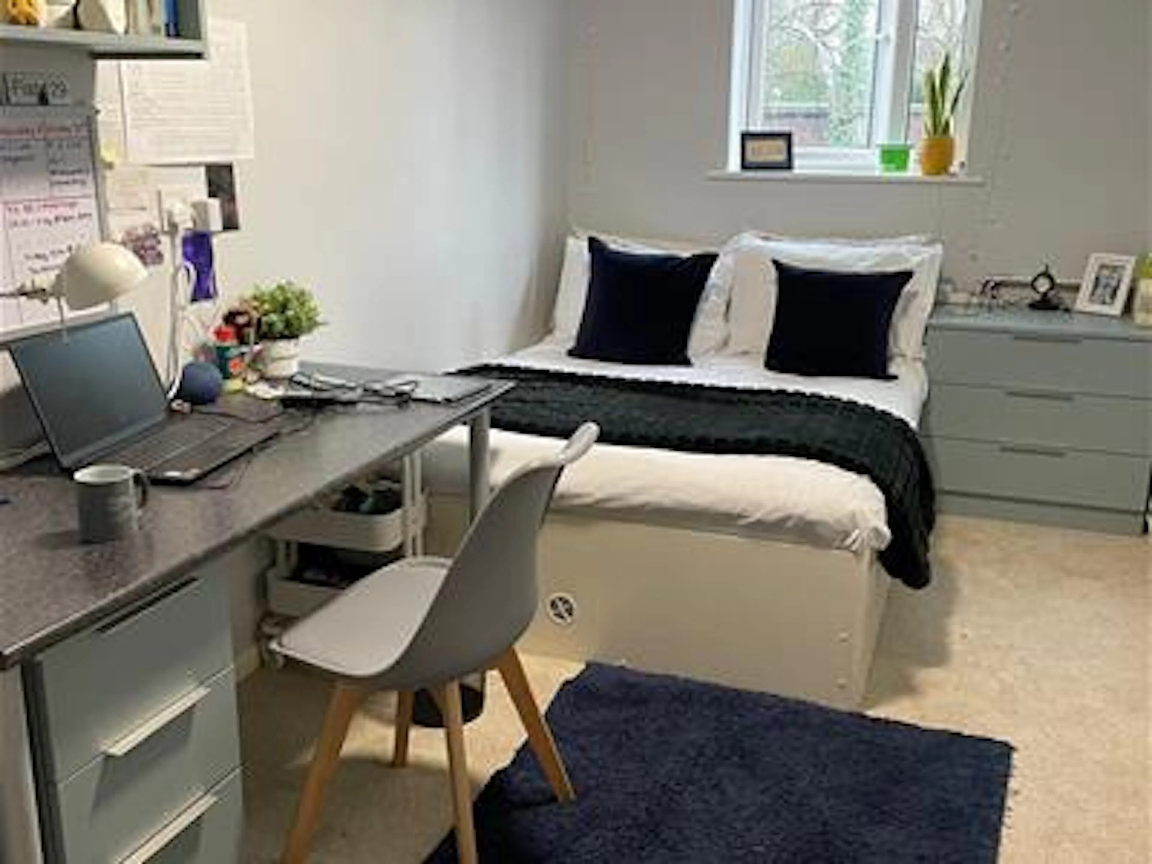 6 Bedroom Apartment ROOM 2