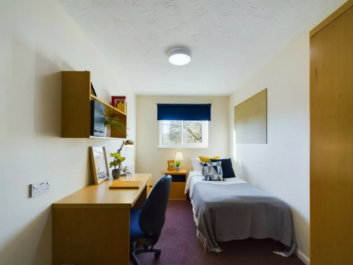 ROOM ROOM