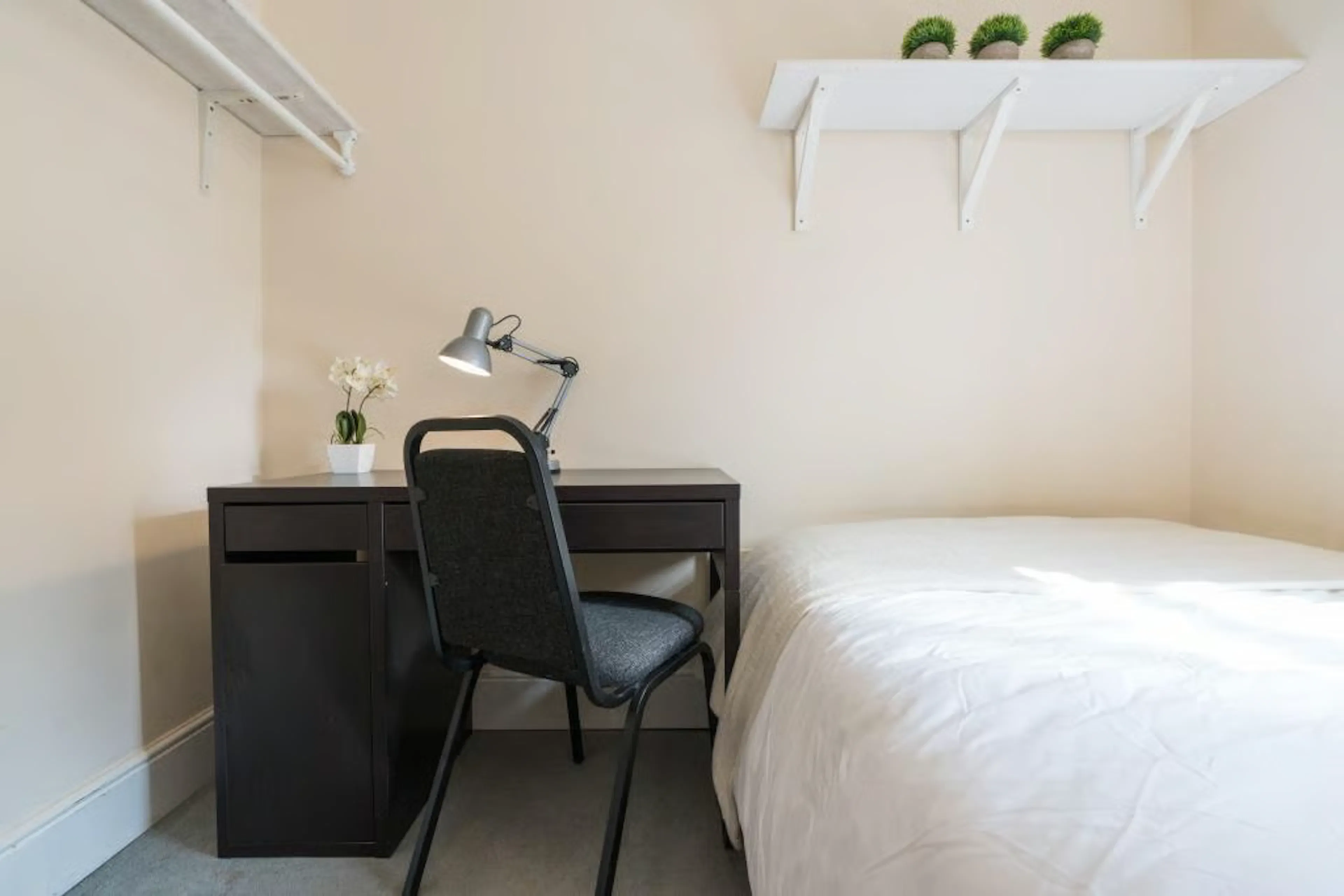 5 Bedroom Apartment ROOM 3
