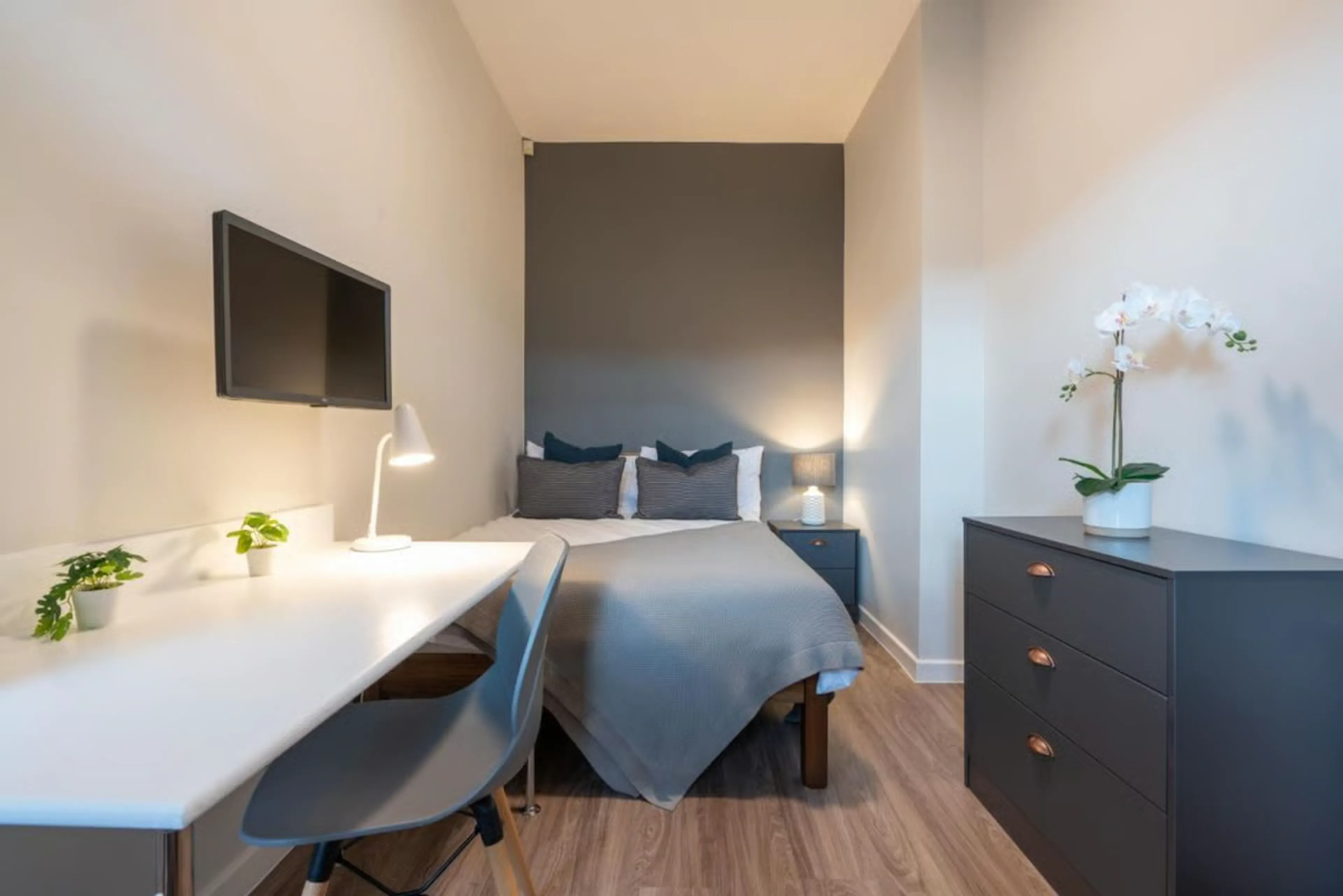 3 Bedroom Apartment ROOM 1