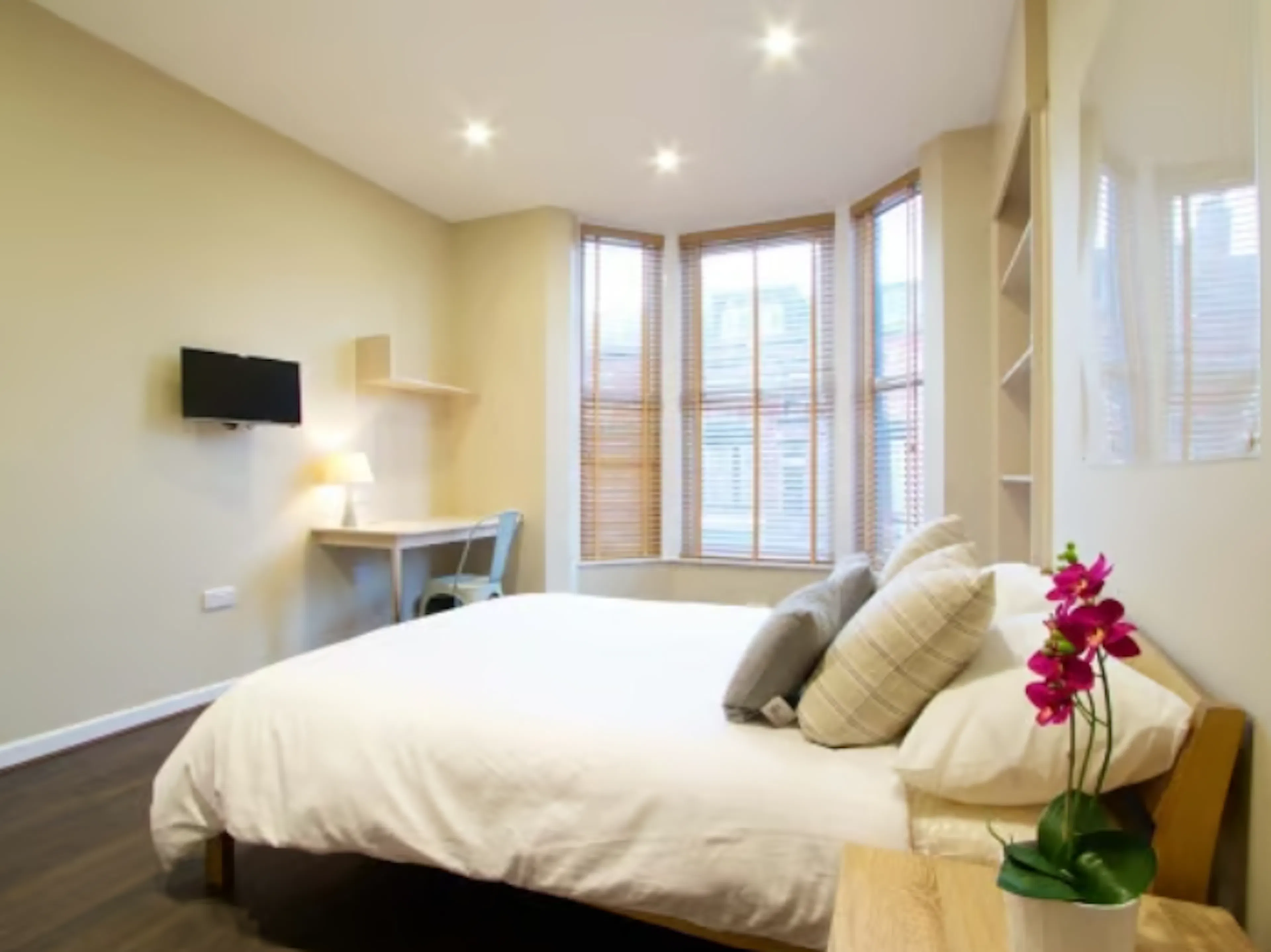 7 Bedroom Apartment ROOM 2