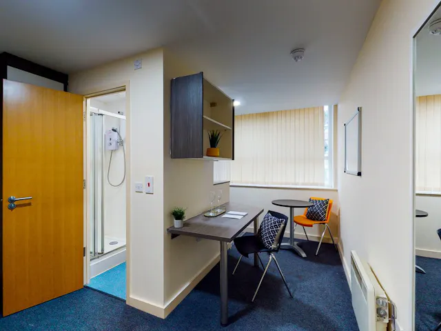 Premier Studio room image 2