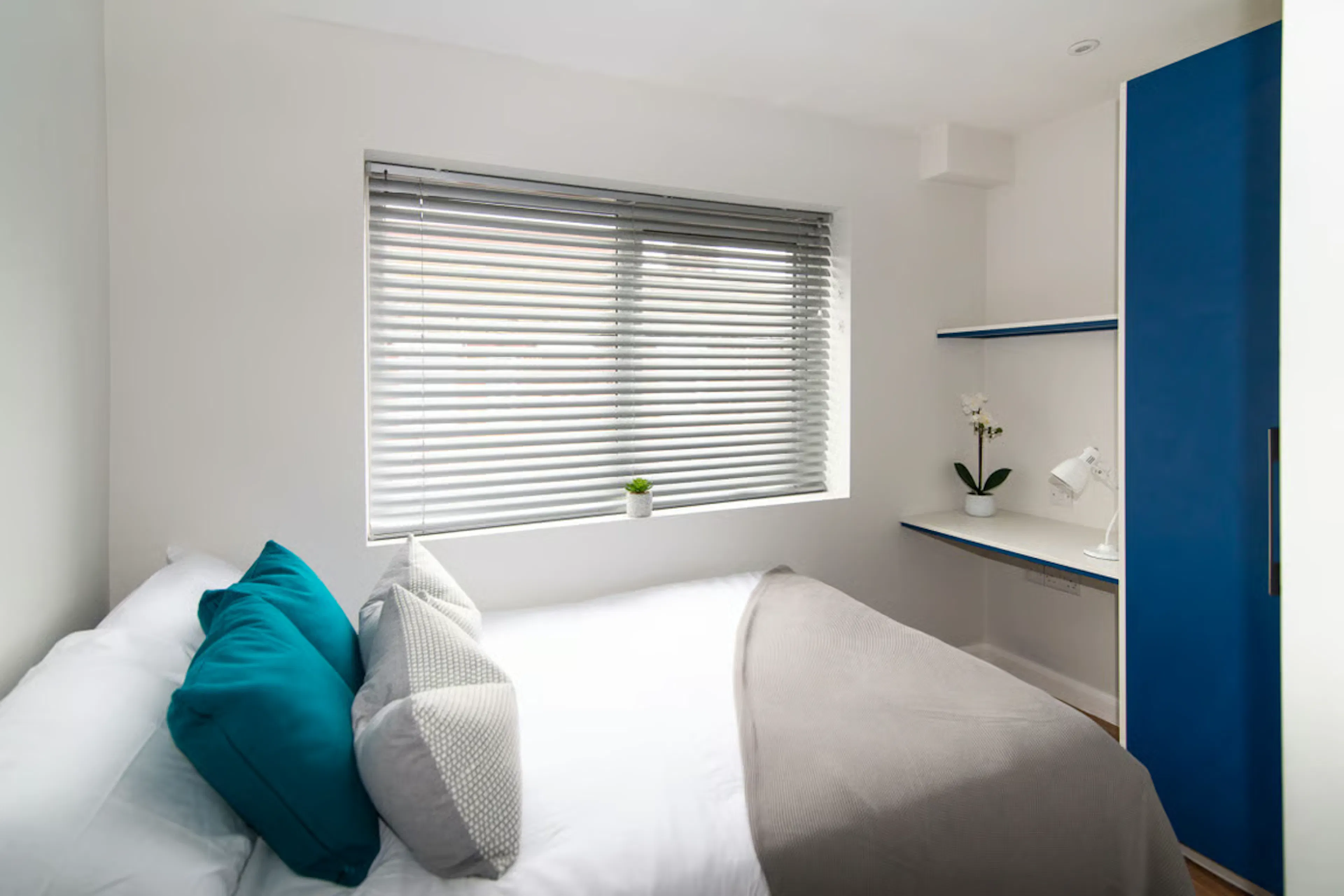 5 Bedroom Apartment ROOM 3