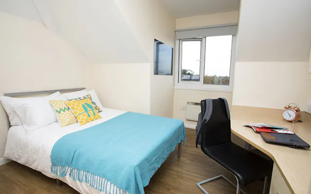 Single En-Suite room image 2