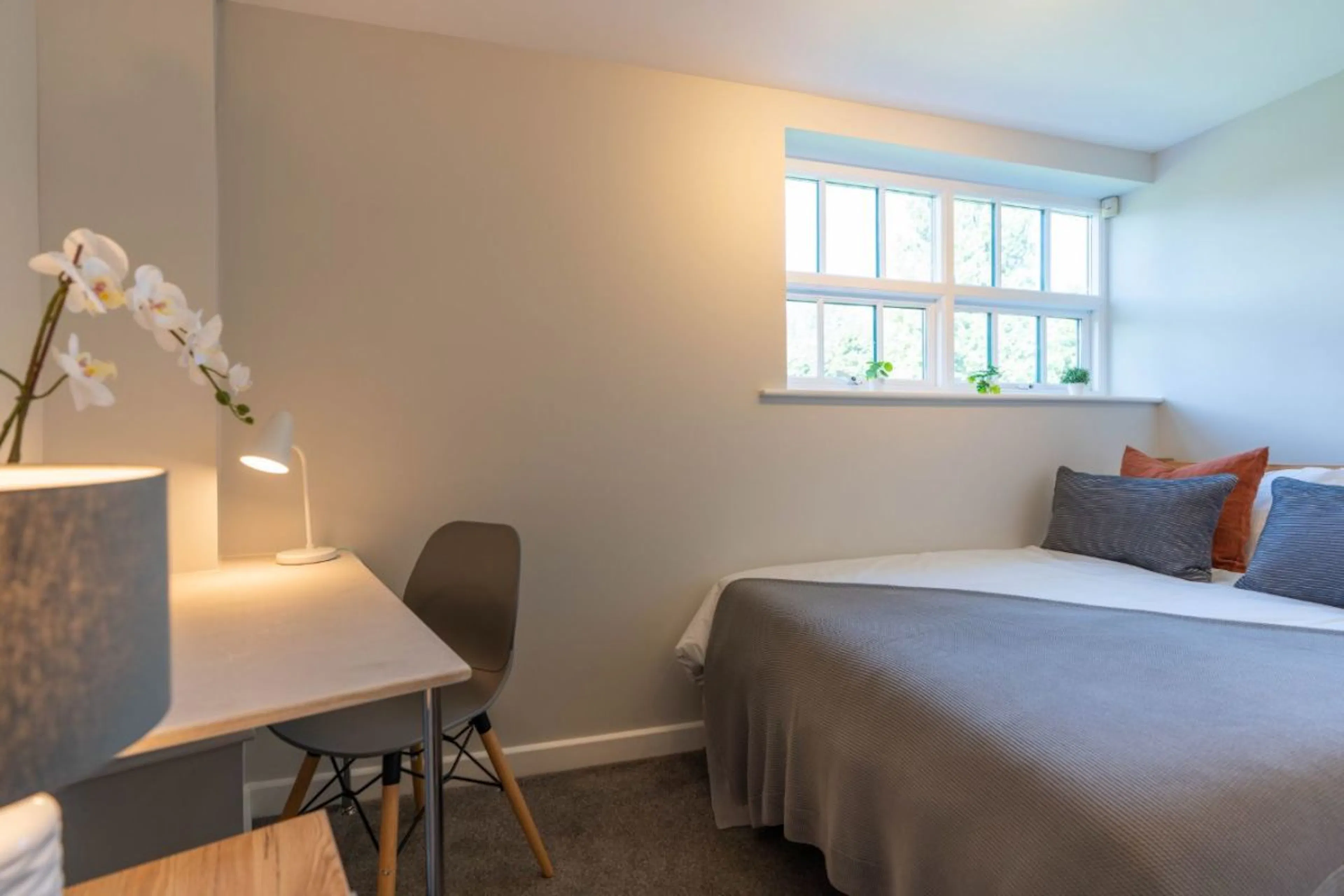 2 Bedroom Apartment ROOM 2
