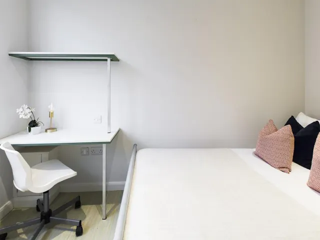 5 Bedroom Apartment room image 5