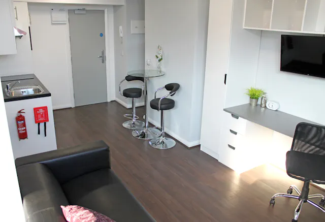 Premier Studio room image 2