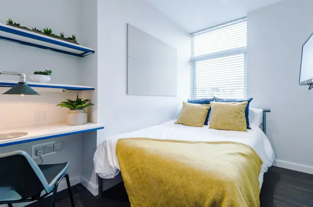 5 Bedroom Apartment room image 5