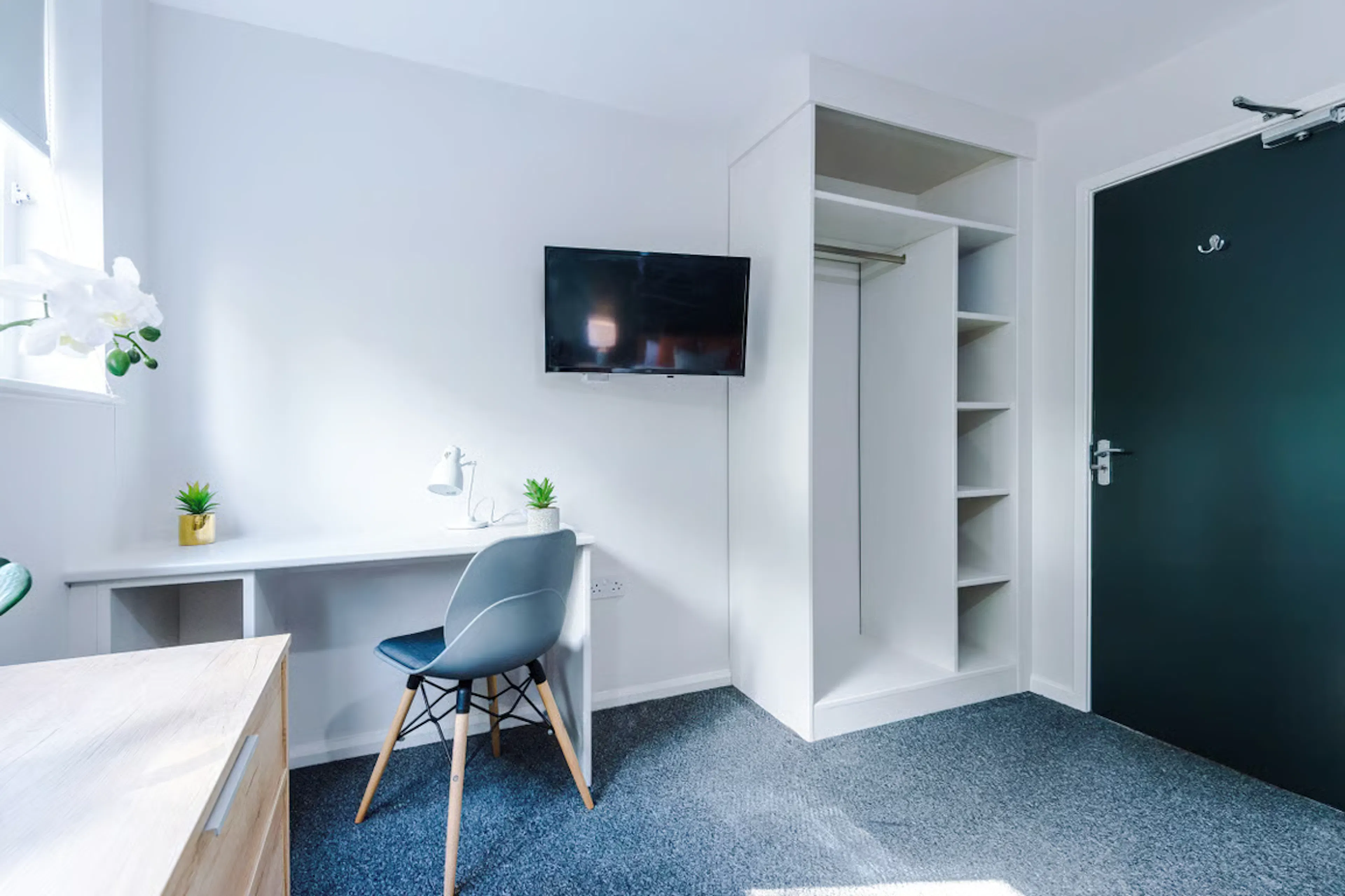 6 Bedroom Apartment ROOM 2