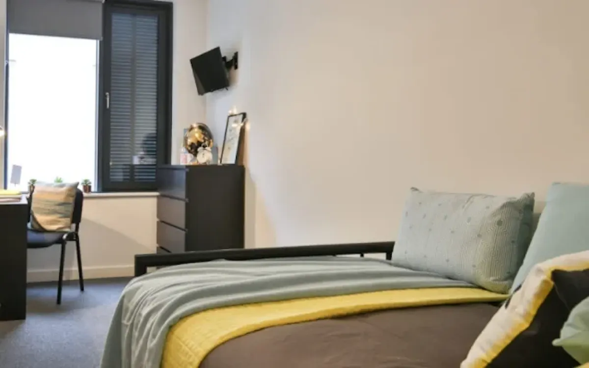 Classic Shared Apartment ROOM