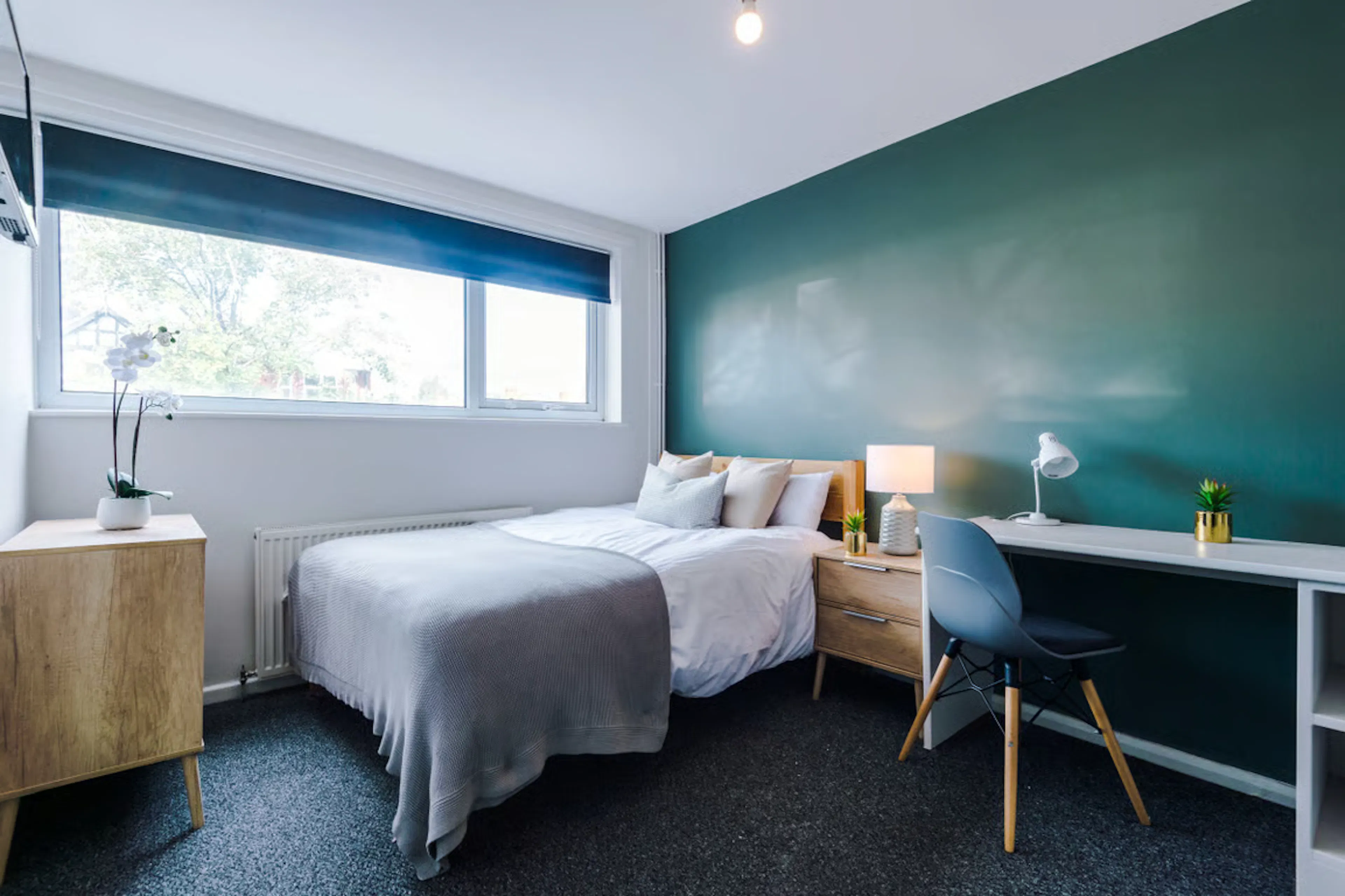 6 Bedroom Apartment ROOM 3