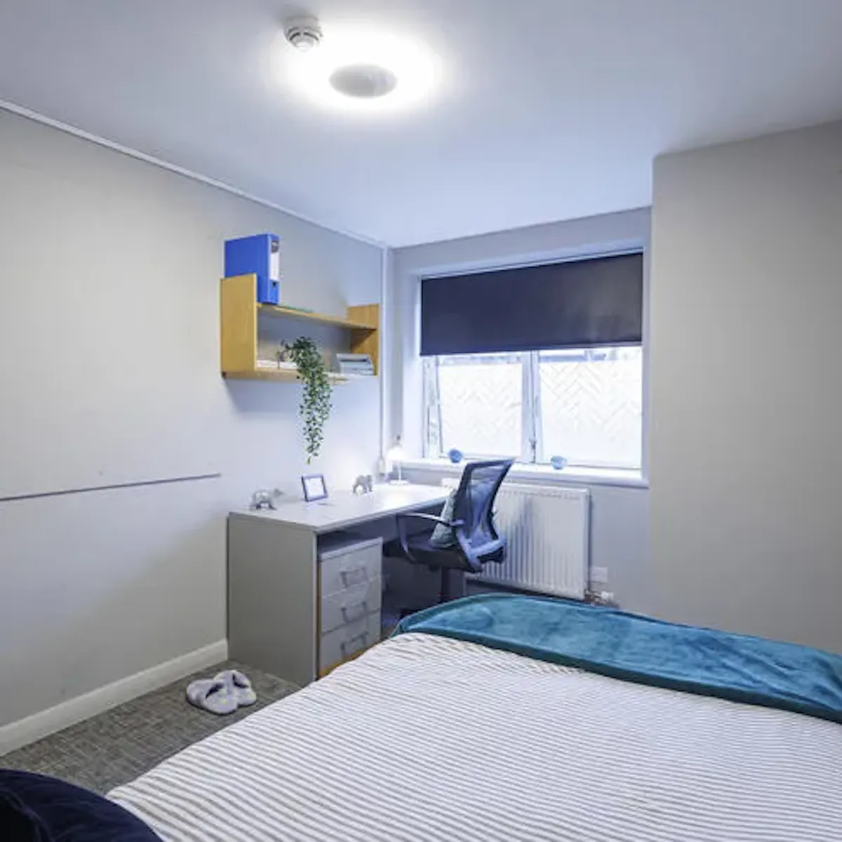 Ensuite Room ROOM