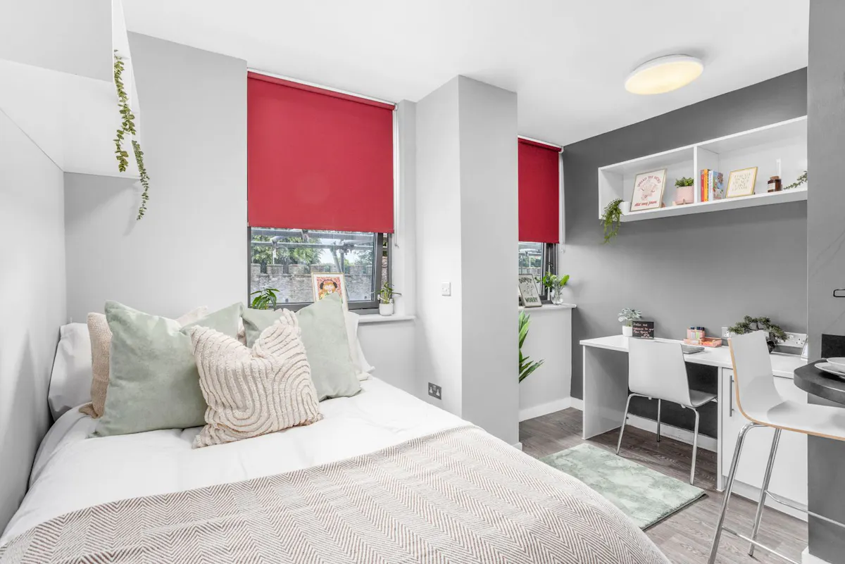 ROOM ROOM