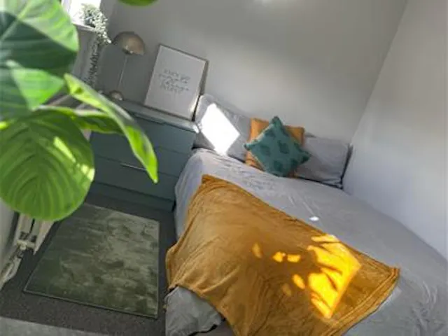 7 Bedroom Apartment room image 1