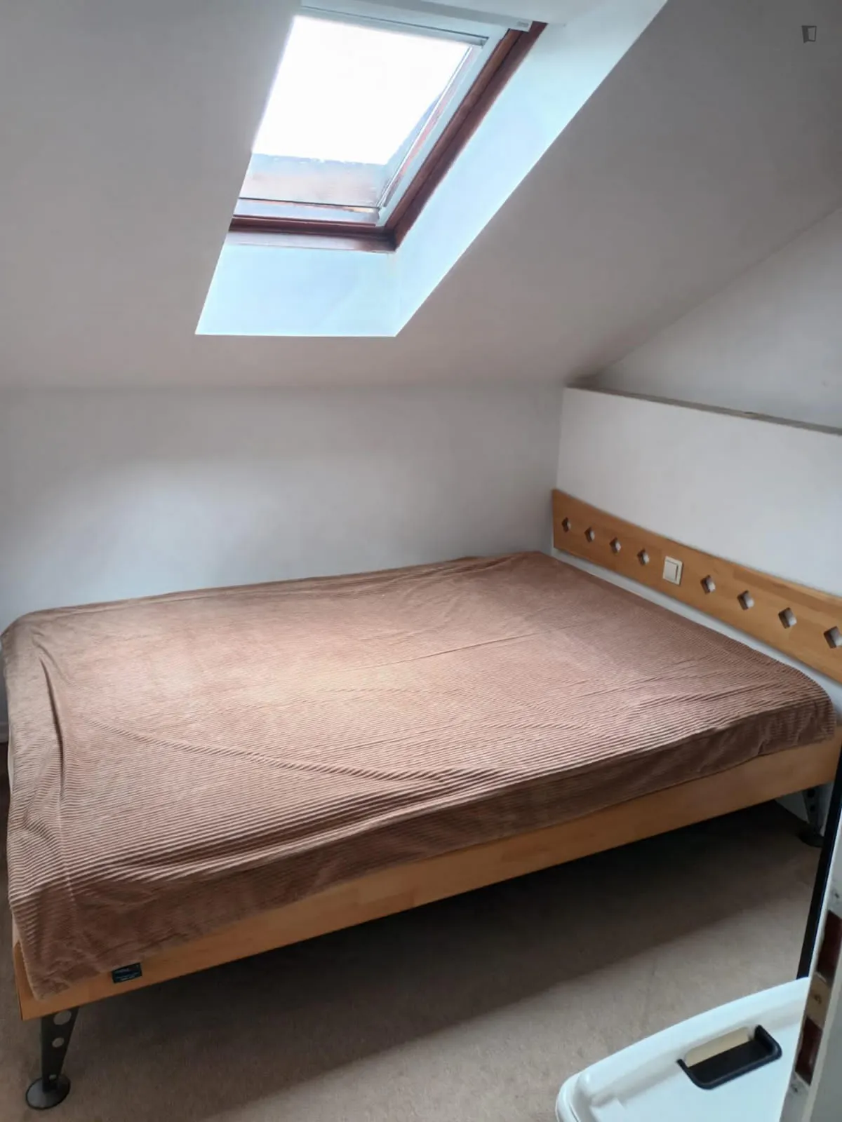 Cozy double bedroom in a 3 bedroom apartment in Adlershof ROOM