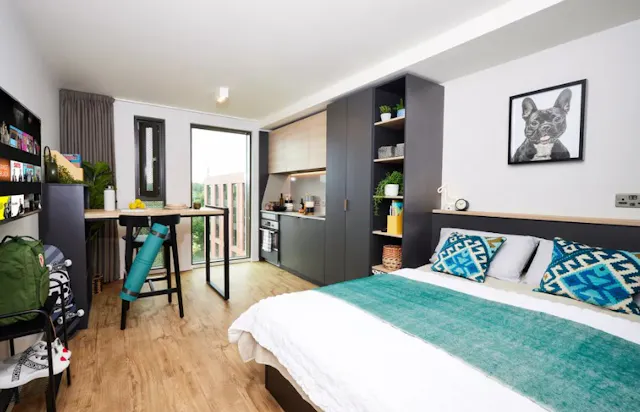 Platinum Studio room image 1