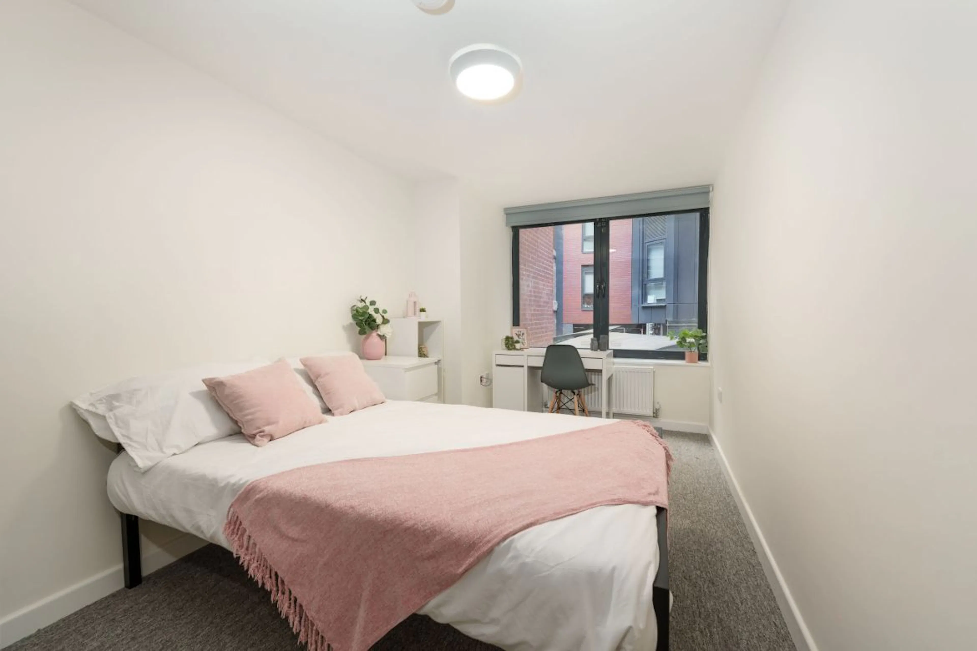 7 Bedroom Apartment ROOM 2