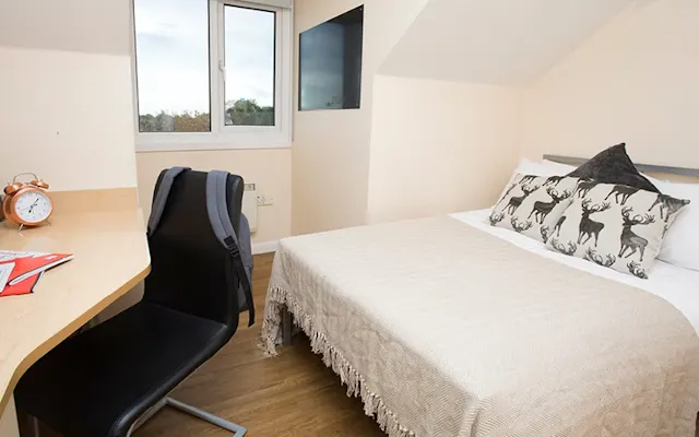 Single En-Suite room image 1